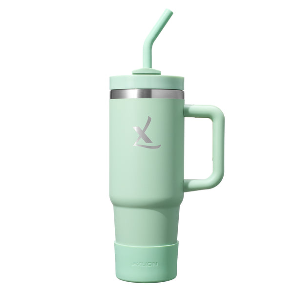 Lexlion Insulated Tumbler